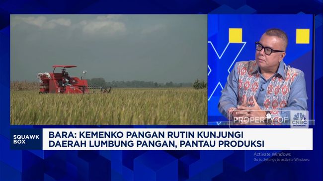 Jurus Pemerintah Setop Impor Beras Cs & Bikin Petani Sejahtera