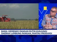 Video: Jurus Pemerintah Setop Impor Beras Cs & Bikin Petani Sejahtera