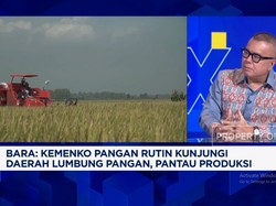 Video: Jurus Pemerintah Setop Impor Beras Cs & Bikin Petani Sejahtera