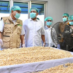 Menkop Budi Arie Siap Fasilitasi Koperasi Tahu-Tempe Ikut Program MBG