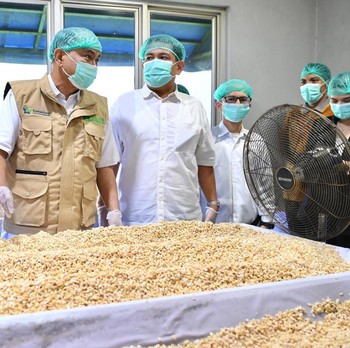 Menkop Budi Arie Siap Fasilitasi Koperasi Tahu-Tempe Ikut Program MBG