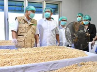 Menkop Budi Arie Siap Fasilitasi Koperasi Tahu-Tempe Ikut Program MBG