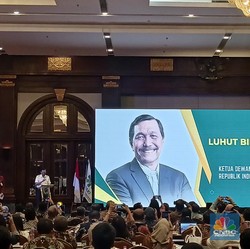 Cerita Luhut Pernah 'Nangis' karena Paracetamol, Kenapa?