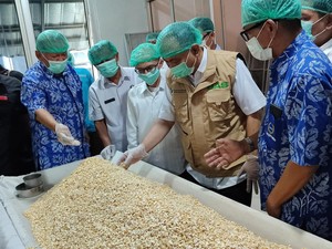 Tahu dan Tempe Didorong Jadi Menu Makan Bergizi Gratis