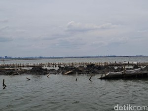 DKP Jabar soal Temuan Pagar Laut di Bekasi: Beda dengan Tangerang