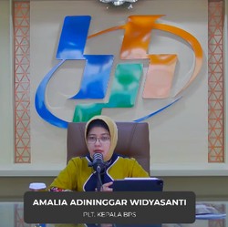BPS Laporkan Impor RI Capai US$21,22 M di Akhir Desember 2024