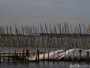 Polisi Temukan Lagi Pemalsuan 201 Sertifikat Terkait Pagar Laut di Bekasi