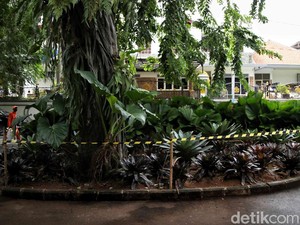 Video: Koin Jagat Berujung Rusak Fasum, Wamenkomdigi Ajak Diskusi