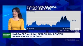 Video: Ada Program B40-Makan Gratis, PR RI Genjot Produksi Sawit 2025