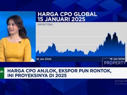 Video: Ada Program B40-Makan Gratis, PR RI Genjot Produksi Sawit 2025
