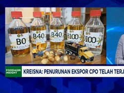 Video: Ada "Kampanye Hitam", Pengusaha Sulit Tambah Lahan Sawit Baru