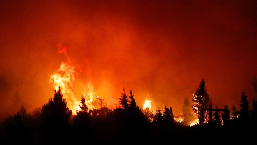 Seorang petugas pemadam kebakaran bekerja memadamkan kebakaran hutan di Epuyen, di wilayah Patagonia, Chubut, Argentina, 15 Januari 2025. (REUTERS/Matias Garay)