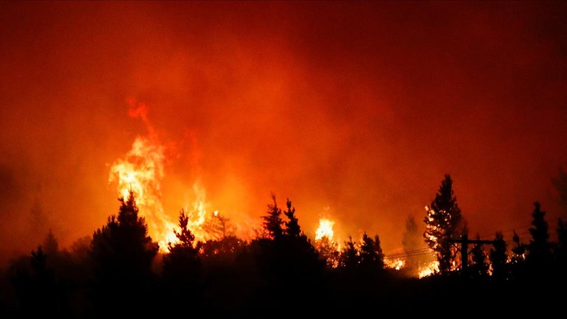 Seorang petugas pemadam kebakaran bekerja memadamkan kebakaran hutan di Epuyen, di wilayah Patagonia, Chubut, Argentina, 15 Januari 2025. (REUTERS/Matias Garay)
