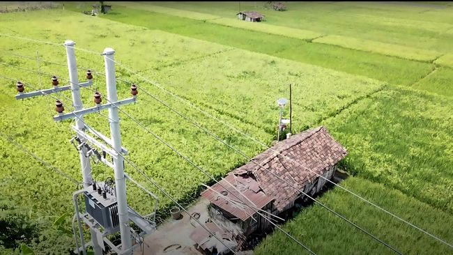 Electrifying Agriculture PLN Raih 53.534 Pelanggan Baru pada 2024