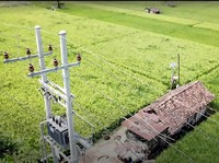 Electrifying Agriculture PLN Raih 53.534 Pelanggan Baru pada 2024