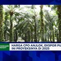 Video: Harga & Ekspor CPO Anjlok, Bagaimana Nasib Bisnis Sawit 2025?