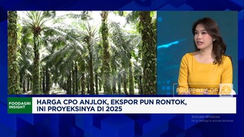 Video: Harga & Ekspor CPO Anjlok, Bagaimana Nasib Bisnis Sawit 2025?