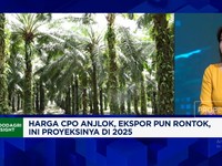 Video: Harga & Ekspor CPO Anjlok, Bagaimana Nasib Bisnis Sawit 2025?