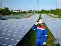 Konsisten Terapkan ESG, Pertamina Group Diakui Global