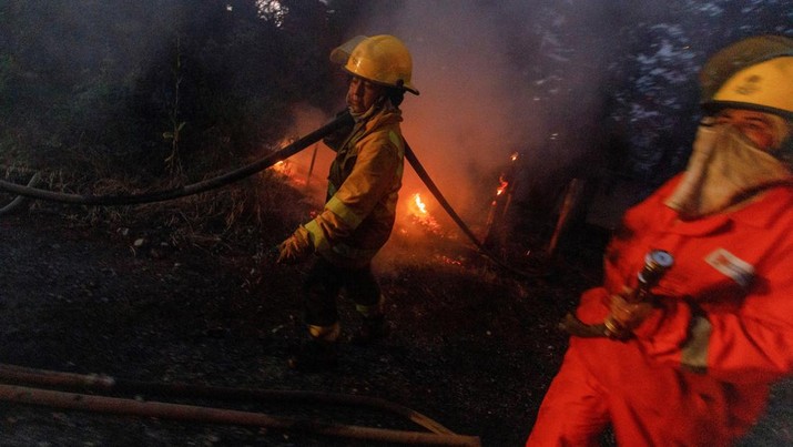 Petugas pemadam kebakaran berupaya memadamkan kebakaran hutan di Epuyen, wilayah Patagonia, Chubut, Argentina, 15 Januari 2025. (REUTERS/Matias Garay)