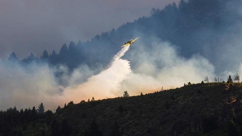 Seorang petugas pemadam kebakaran bekerja memadamkan kebakaran hutan di Epuyen, di wilayah Patagonia, Chubut, Argentina, 15 Januari 2025. (REUTERS/Matias Garay)