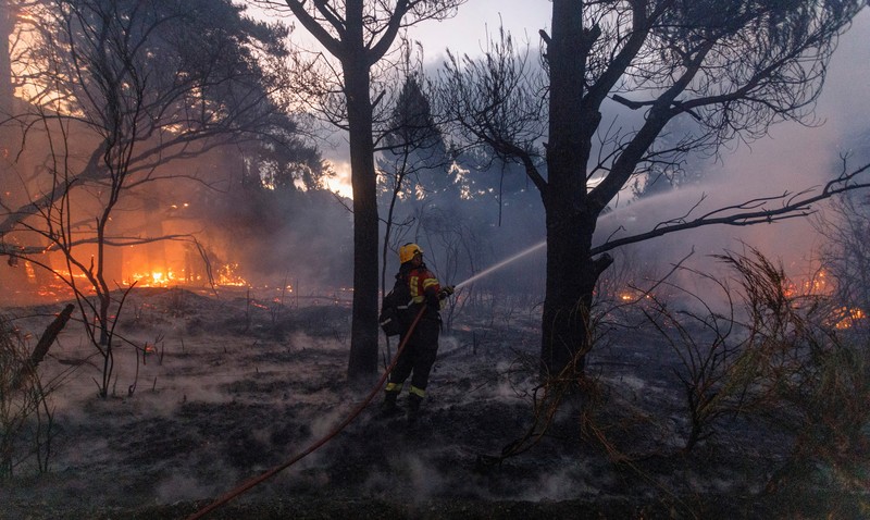 Seorang petugas pemadam kebakaran bekerja memadamkan kebakaran hutan di Epuyen, di wilayah Patagonia, Chubut, Argentina, 15 Januari 2025. (REUTERS/Matias Garay)