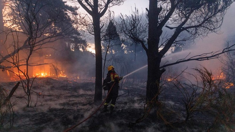 Seorang petugas pemadam kebakaran bekerja memadamkan kebakaran hutan di Epuyen, di wilayah Patagonia, Chubut, Argentina, 15 Januari 2025. (REUTERS/Matias Garay)