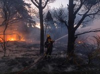 Bukan Amerika, Malapetaka 'Kebakaran' Hutan Kini Terjadi di Jepang