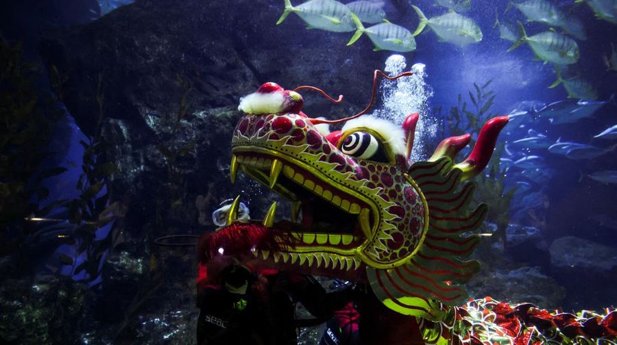 tarian-naga-bawah-laut-meriahkan-sambut-imlek-di-bangkok_169.jpeg?w=900&q=80