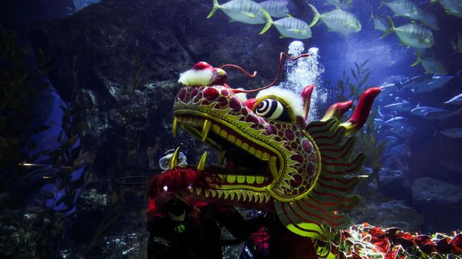 Misteri Keberadaan Naga Terbongkar, Pernah Disebut Tinggal di RI