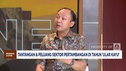 Video: Bos Bayan Ungkap Peluang Sektor Pertambangan di Tahun Ular Kayu