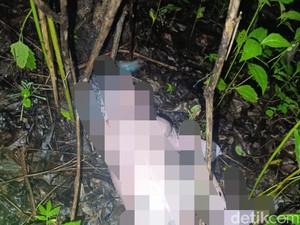 Mayat Bayi Ditemukan dalam Hutan di Kupang
