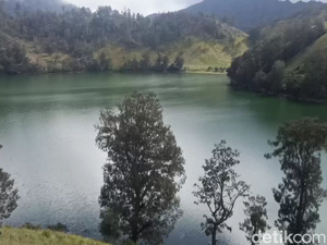 Pendakian Semeru Ditutup, Rombongan Pendaki Beralih ke Ranu Regulo