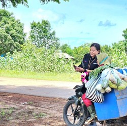 Petani di Merauke Tingkatkan Produktivitas Berkat Klaster Usaha BRI