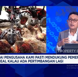 Video: Efek RI Menang Gugatan Lawan WTO Hingga Nasib CPO Era Trump 2.0