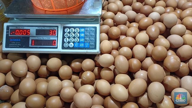 Petaka Harga Telur Naik Gila-gilaan Tembus Rp 113.000, Ini Penyebabnya