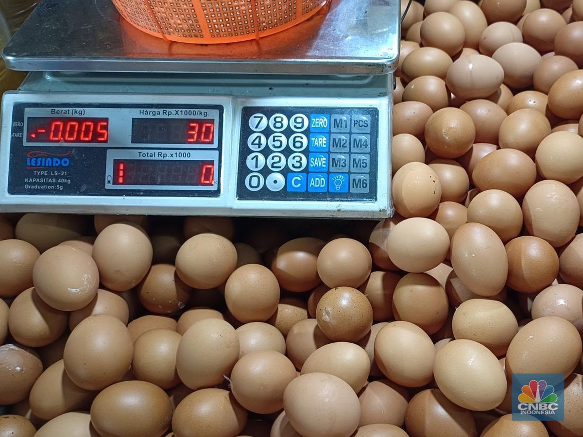 Fenomena 'Eggflation': Kenaikan Harga Telur dan Dampaknya di Indonesia