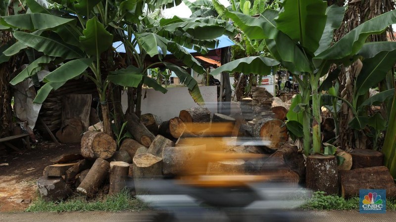 Pekerja menyelesaikan pembuatan talenan berbahan dasar kayu di Desa Sasak Panjang, Kecamatan Tatur Halang, Bogor, Jawa Barat, Senin (20/1/2025). (CNBC Indonesia/Tri Susilo)