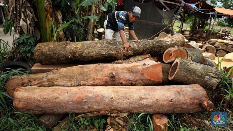 Pekerja menyelesaikan pembuatan talenan berbahan dasar kayu di Desa Sasak Panjang, Kecamatan Tatur Halang, Bogor, Jawa Barat, Senin (20/1/2025). (CNBC Indonesia/Tri Susilo)