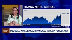 Video: Produksi Nikel Bakal Dipangkas, Pengusaha Teriak Ini
