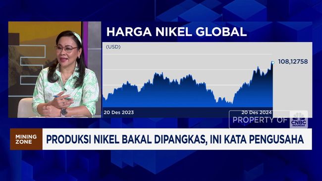 Produksi Nikel Bakal Dipangkas, Pengusaha Teriak Ini