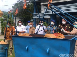 BNNP Sumbar Musnahkan  50,9 Kg Ganja, 4 Pelaku Ditangkap