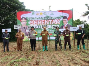 Dukung Swasembada Pangan, Bupati Sumenep Tanam Jagung Bareng Forkopimda