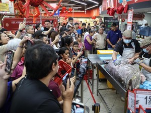Gokil! Ikan Kerapu Seberat 128 Kg Ludes Terjual Kurang dari 20 Menit