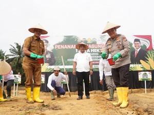 Kapolda-Pj Sekda Riau Tanam Jagung di Kampar Dukung Program Ketahanan Pangan