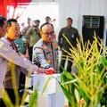 Demi Swasembada Pangan, Polisi Ikut Turun Gunung ke Ladang Jagung