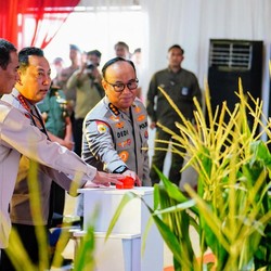 Demi Swasembada Pangan, Polisi Ikut Turun Gunung ke Ladang Jagung