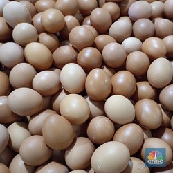 Harga Pangan Hari Ini: Telur Ayam Turun, Gula-Minyak Goreng Kian Mahal