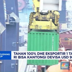 Video: Parkir DHE 1 Tahun, RI Bisa Kantongi Devisa USD 90 M