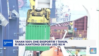 Video: Parkir DHE 1 Tahun, RI Bisa Kantongi Devisa USD 90 M